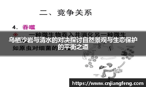 芒果体育app